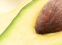 Avocado and Birch Bark Extracts